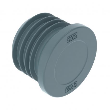 Sealing plug 25 | 