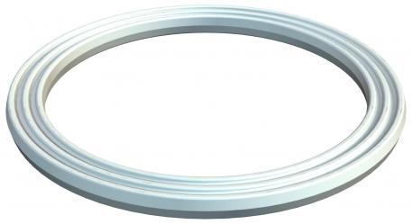 Connection thread sealing ring, metric