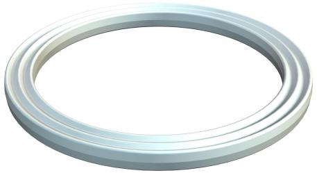 Connection thread sealing ring, PG 23 | 18 | 1.8