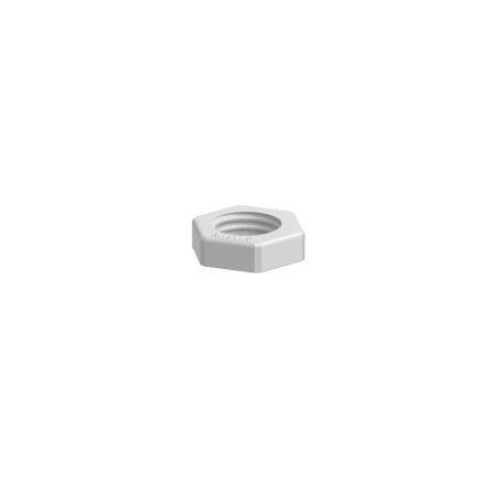 Locknut, metric thread, light grey 19 | 5 | M12_x_1,5 | 17