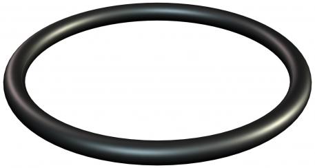 O sealing ring for PG connection thread