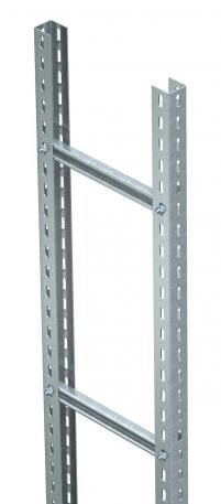 Heavy-duty vertical cable ladder SLM 50, 3 m C40 300 | 2.5