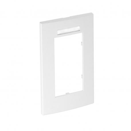 Cover frame AR45-BSF2, for accessory mounting box 71GD13, double, with labelling panel for vertical device installation 